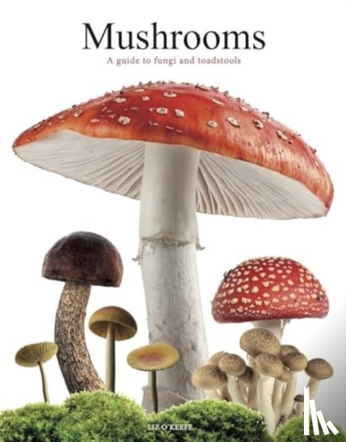 O'Keefe, Liz - Mushrooms