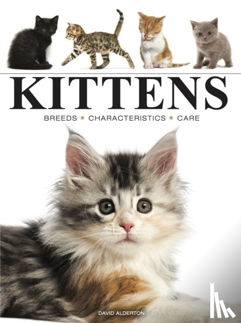 Alderton, David - Kittens