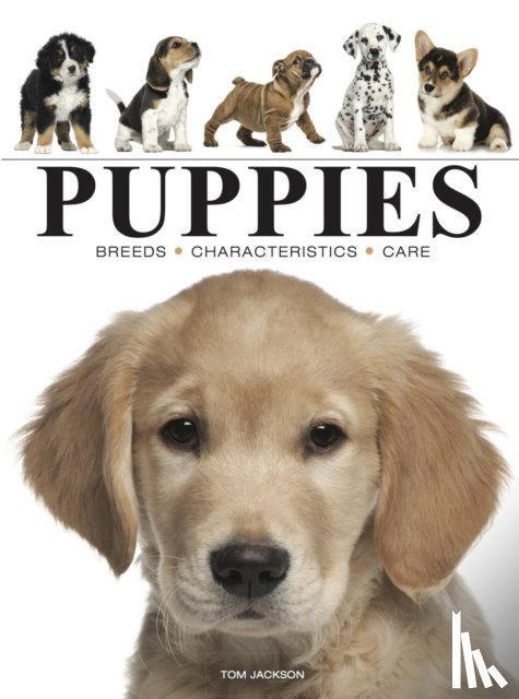 Jackson, Tom - Puppies
