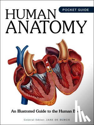  - Human Anatomy