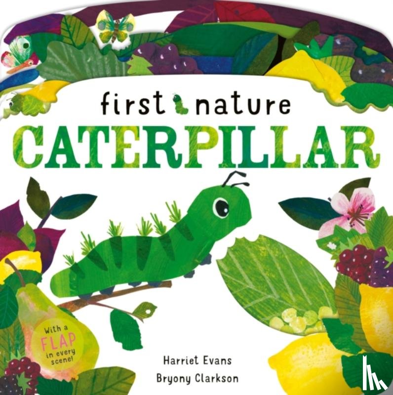 Evans, Harriet - Caterpillar
