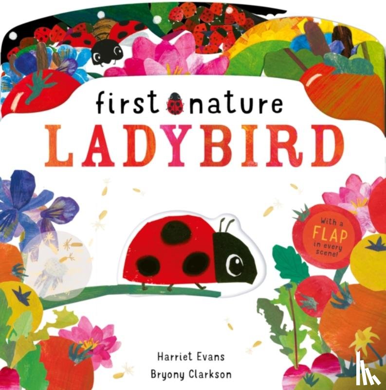 Evans, Harriet - Ladybird