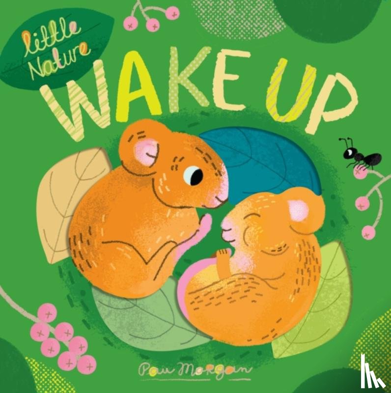 Otter, Isabel, Morgan, Pau - Wake Up
