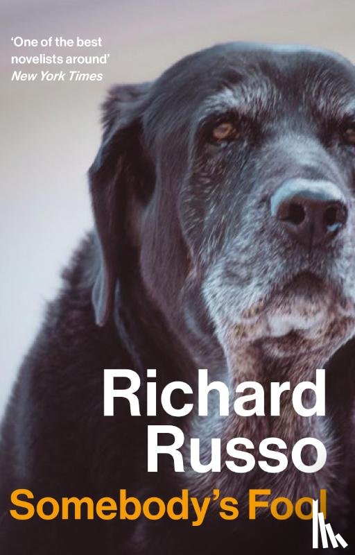 Russo, Richard - Somebody's Fool