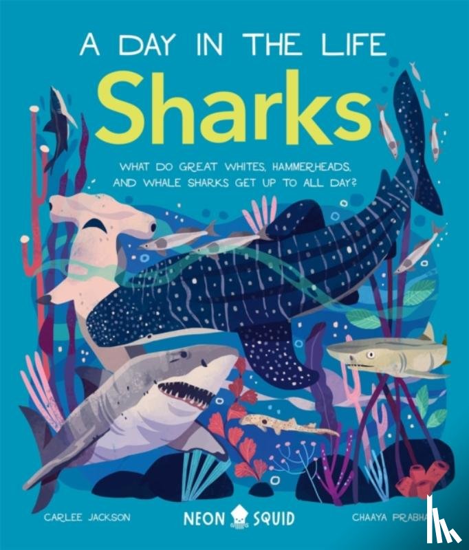 Jackson, Carlee, Neon Squid - Sharks (A Day in the Life)