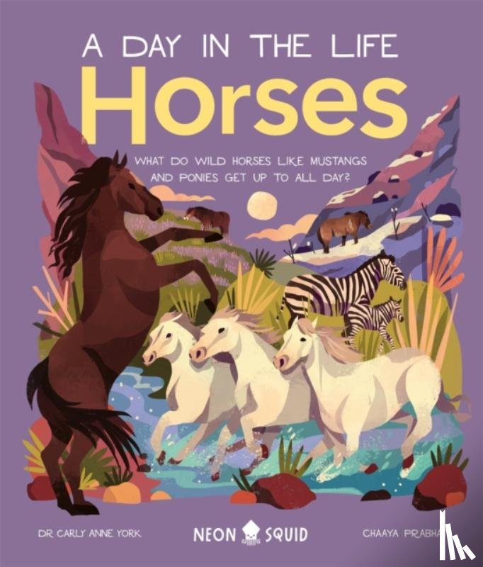 York, Carly Anne, Neon Squid - Horses (A Day in the Life)