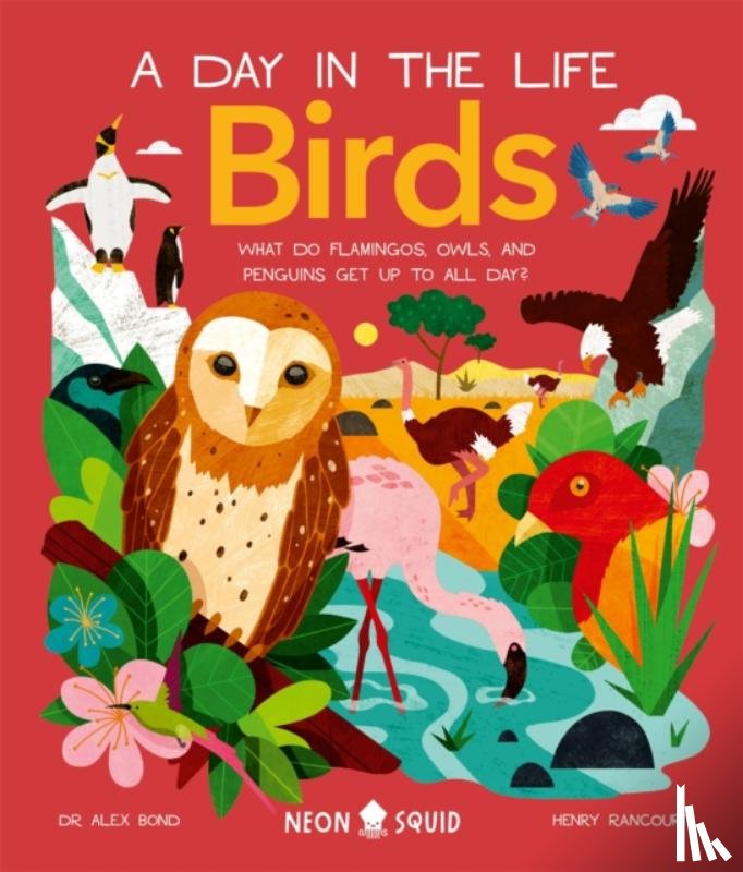 Bond, Alex, Neon Squid - Birds (A Day in the Life)