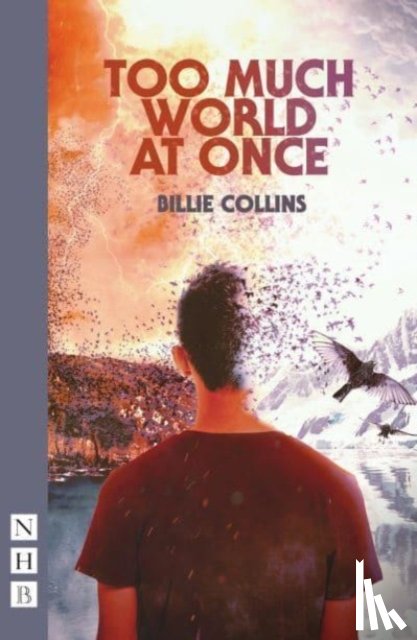 Collins, Billie - Too Much World at Once