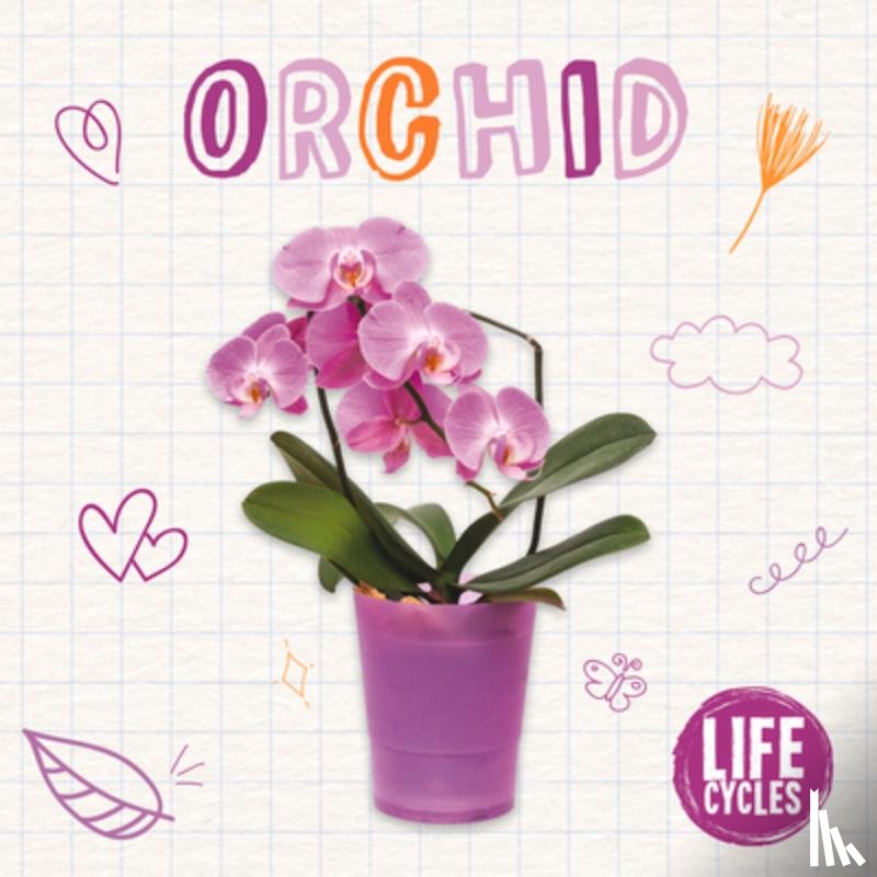 McHale, Brenda - Orchid