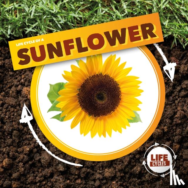 Holmes, Kirsty - Life Cycle of a Sunflower
