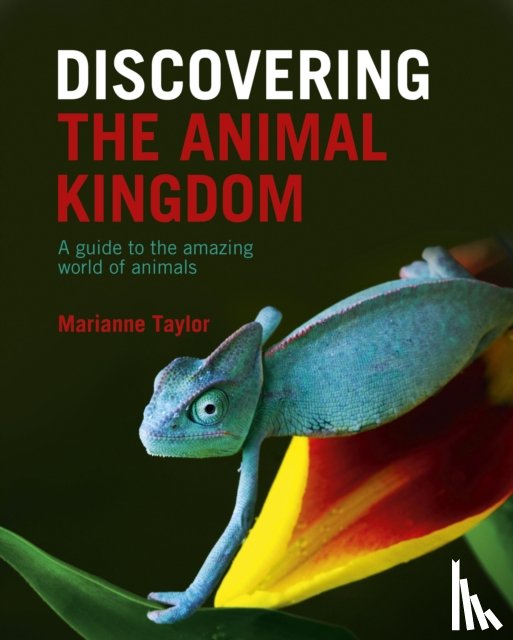 Taylor, Marianne - Discovering The Animal Kingdom
