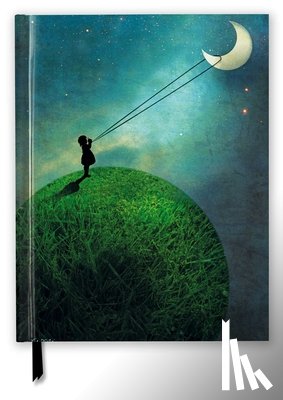 Flame Tree Studio - Catrin Welz-Stein: Chasing the Moon (Blank Sketch Book)