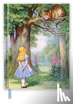 Flame Tree Studio - John Tenniel: Alice and the Cheshire Cat (Blank Sketch Book)