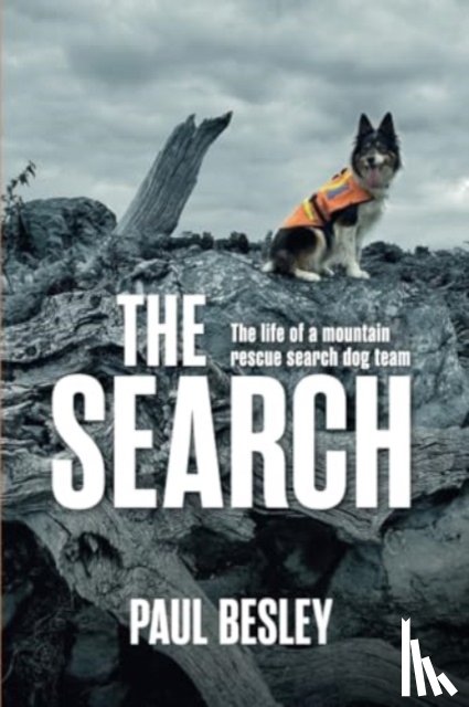 Besley, Paul - The Search