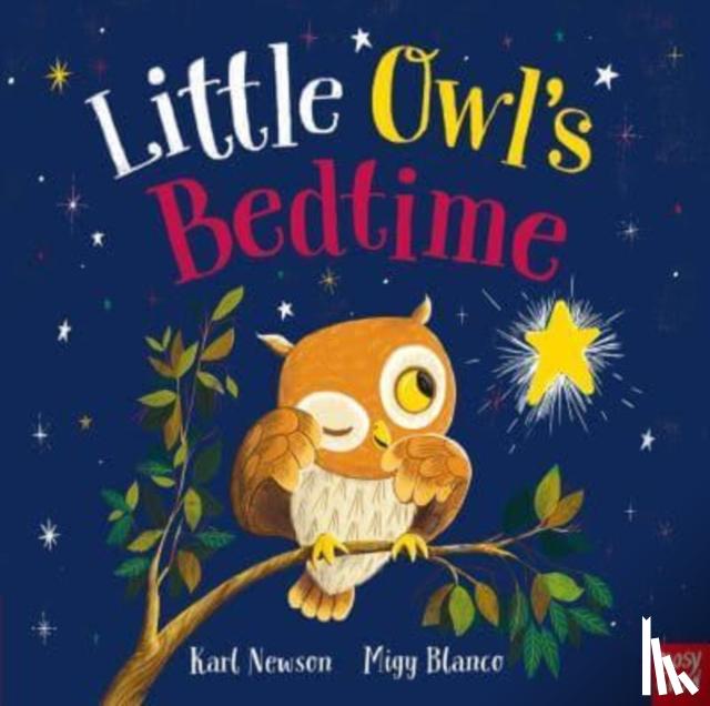 Newson, Karl - Little Owl's Bedtime