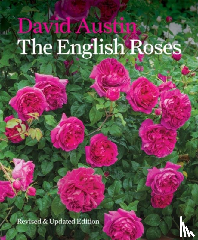 Austin, David - The English Roses