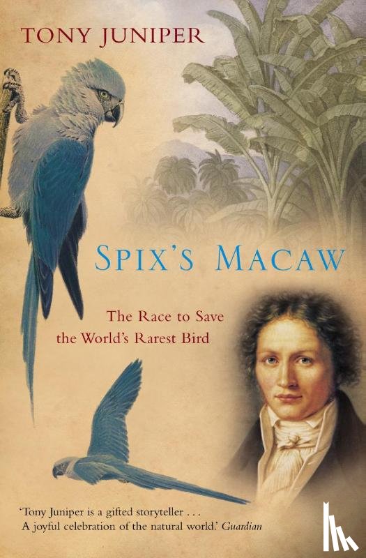 Juniper, Tony - Spix's Macaw