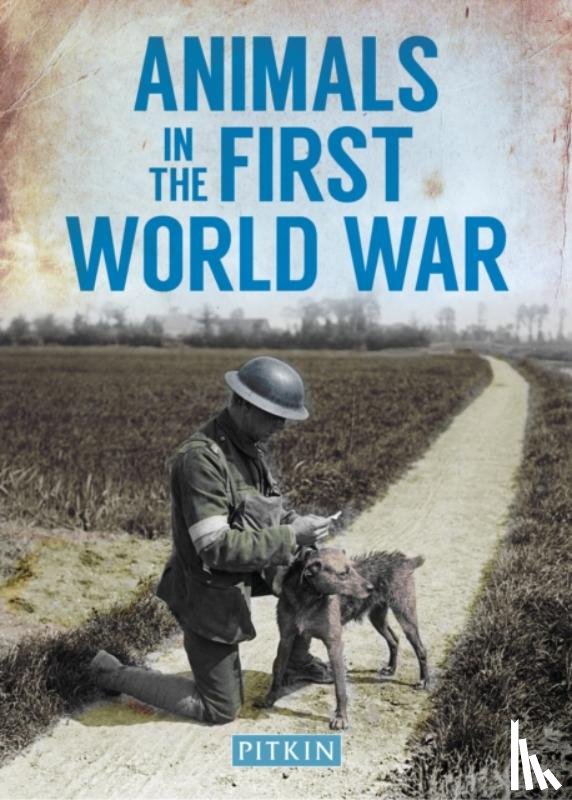Street, Peter - Animals in the First World War