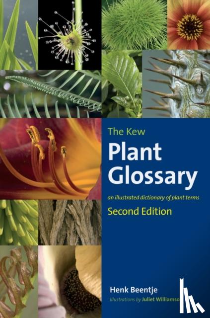 Beentje, Henk J. - Kew Plant Glossary, The