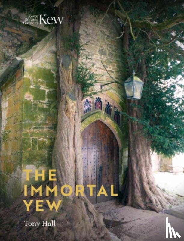 Hall, Tony - Immortal Yew, The