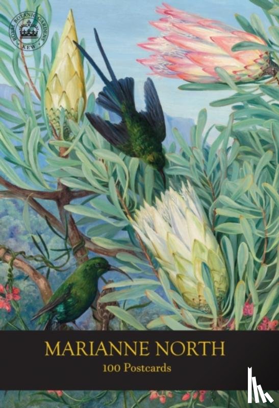 RBG Kew - Marianne North 100 Postcards