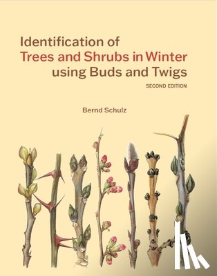 Schulz, Bernd - Identification of Trees and Shrubs in Winter using Buds and Twigs