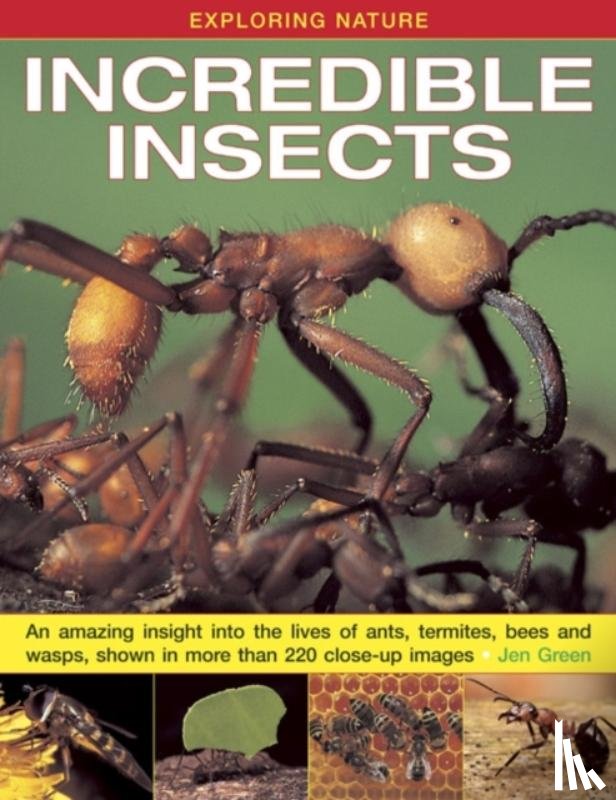 Green, Dr Jen - Exploring Nature: Incredible Insects