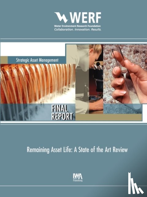 Marlow, David, Davis, Paul, Trans, Dung, Beale, David - Remaining Asset Life