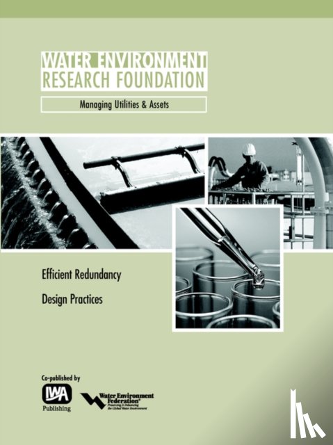 Palmer, T. M. - Efficient Redundancy Design Practices