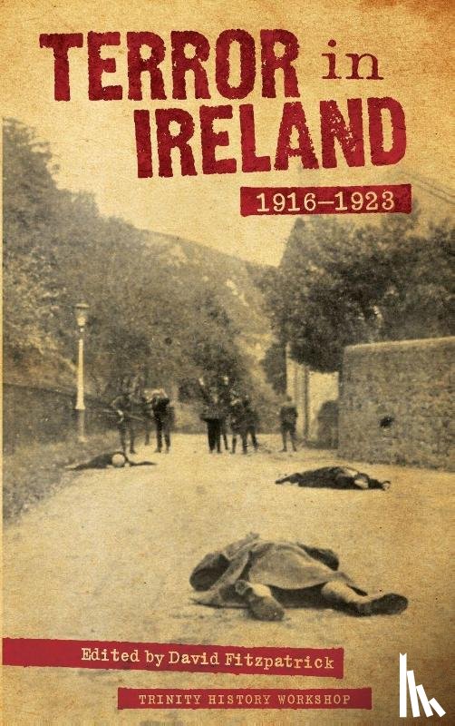 Fitzpatrick, David - Terror In Ireland - 1916-1923