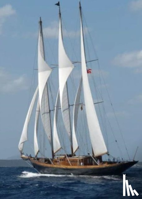 Pincher, Michael Chapman - Long Lost Log: Diary of a Virgin Sailor