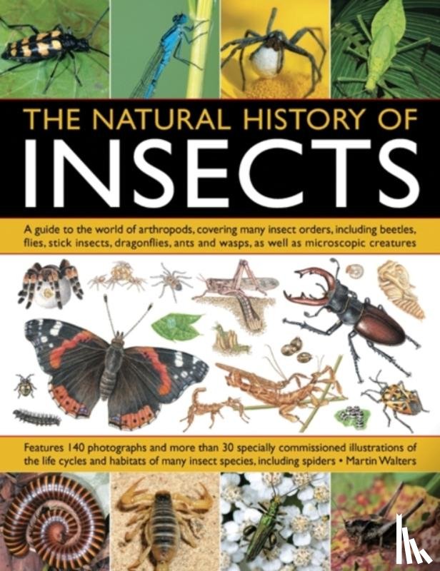 Walters, Martin - Natural History of Insects