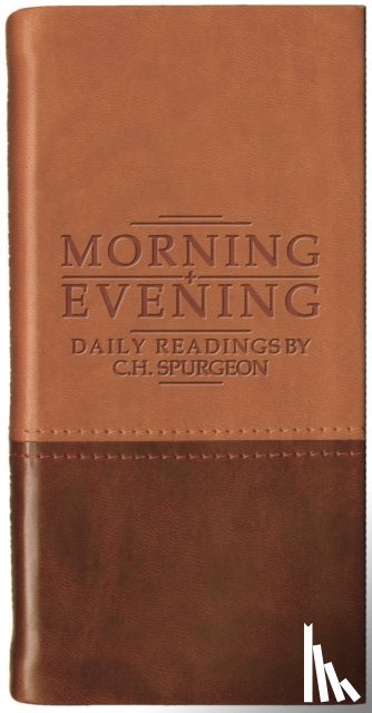 NULL, NULL NULL - Morning And Evening - Matt Tan/Burgundy