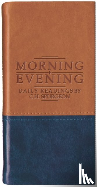 NULL, NULL NULL - Morning and Evening - Matt Tan/Blue