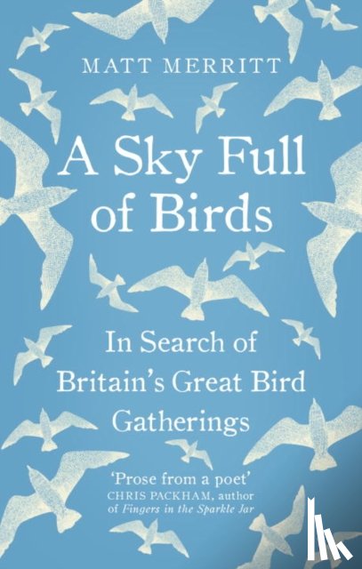 Merritt, Matt - A Sky Full of Birds