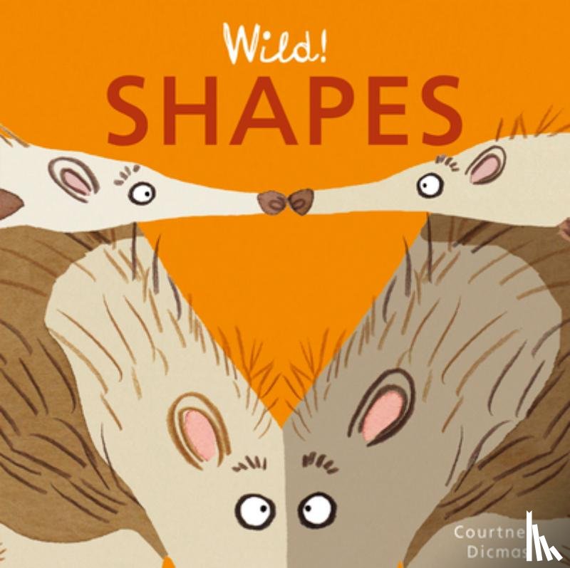 Dicmas, Courtney - Shapes