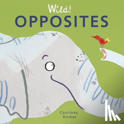 Dicmas, Courtney - Opposites