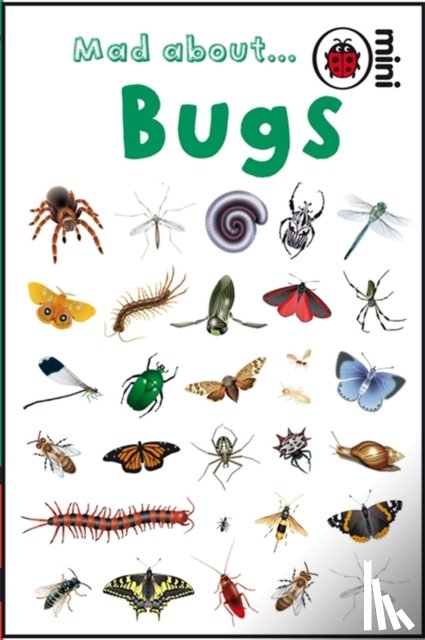 Ladybird - Mad About Bugs