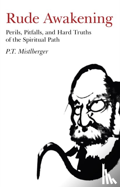 Mistlberger, P.t. - Rude Awakening – Perils, Pitfalls, and Hard Truths of the Spiritual Path