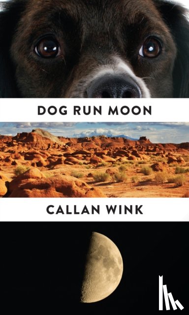 Wink, Callan - Dog Run Moon