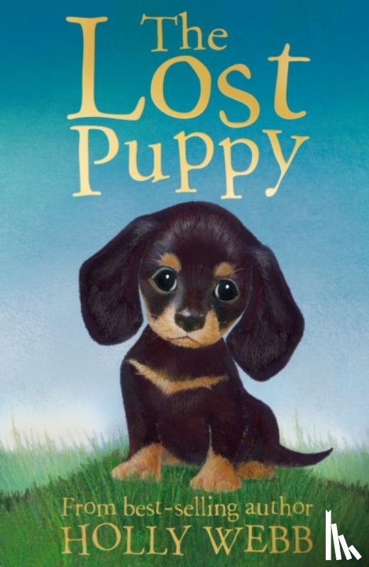 Webb, Holly - The Lost Puppy