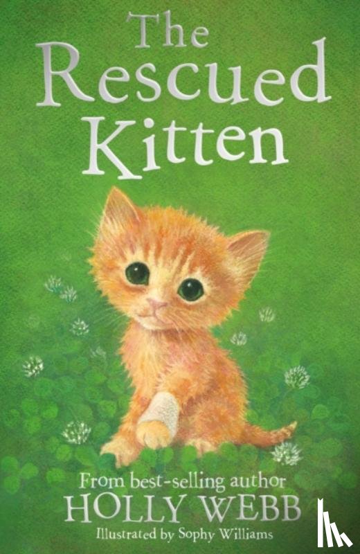 Webb, Holly - The Rescued Kitten