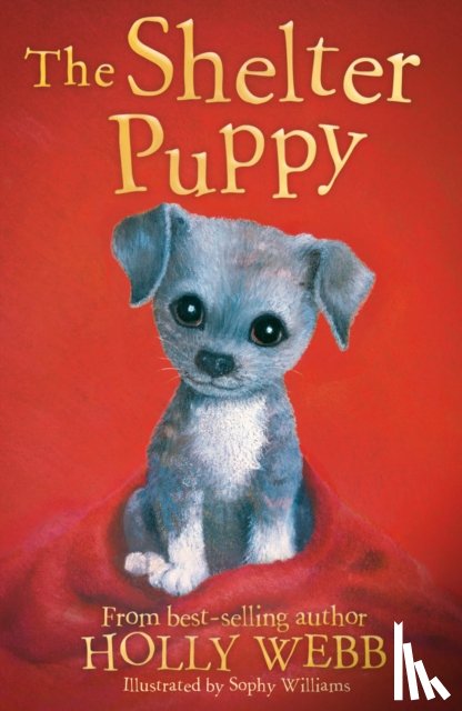 Webb, Holly - The Shelter Puppy