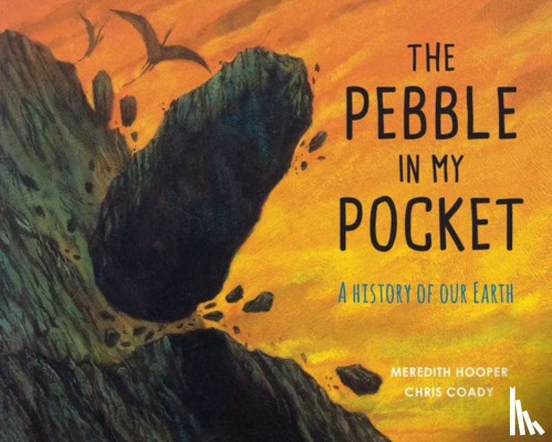 Hooper, Meredith - The Pebble in My Pocket