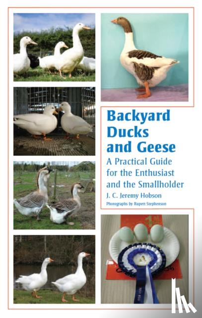 Hobson, J C Jeremy - Backyard Ducks and Geese