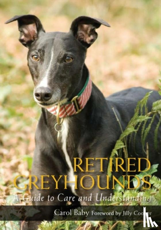 Baby, Carol - Retired Greyhounds