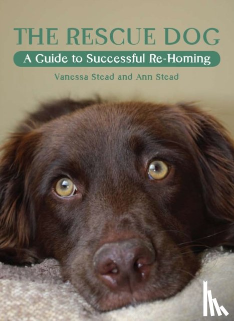 Stead, Vanessa, Stead, Ann - The Rescue Dog