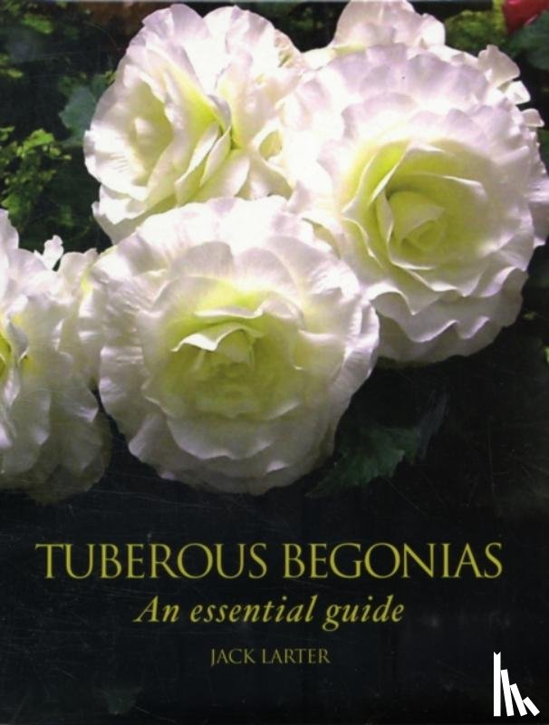 Larter, Jack - Tuberous Begonias