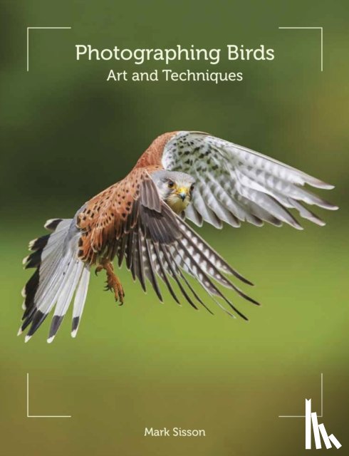 Sisson, Mark - Photographing Birds