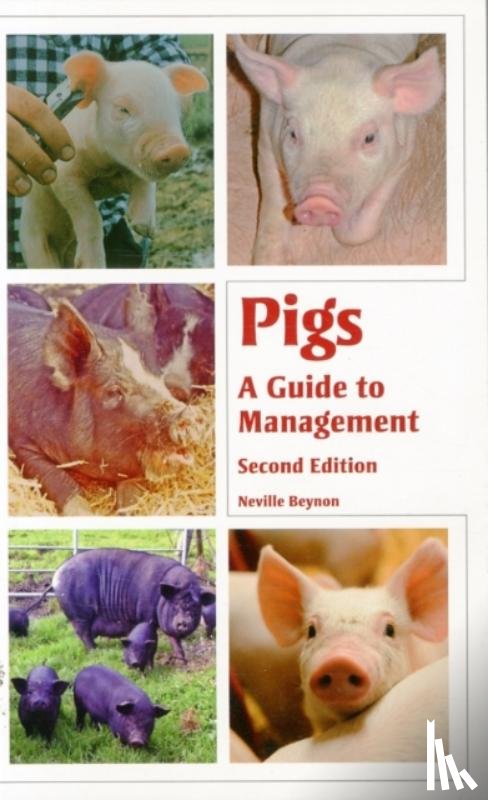 Beynon, Neville - Pigs